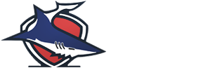 Alesta 1